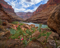Grand Canyon: Below the Rim