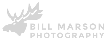 Bill Marson Photography