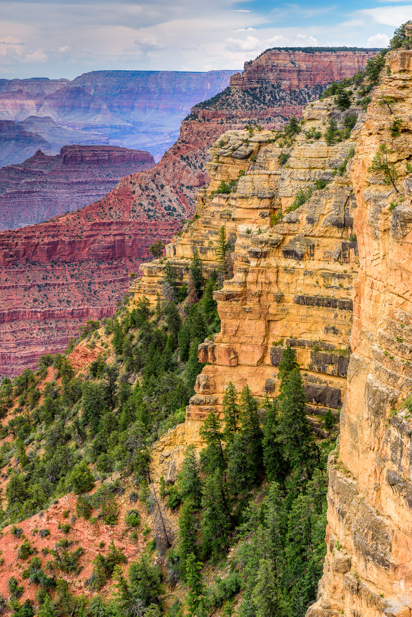 american west, vertical, sunset, grand canyon, spring, canyon