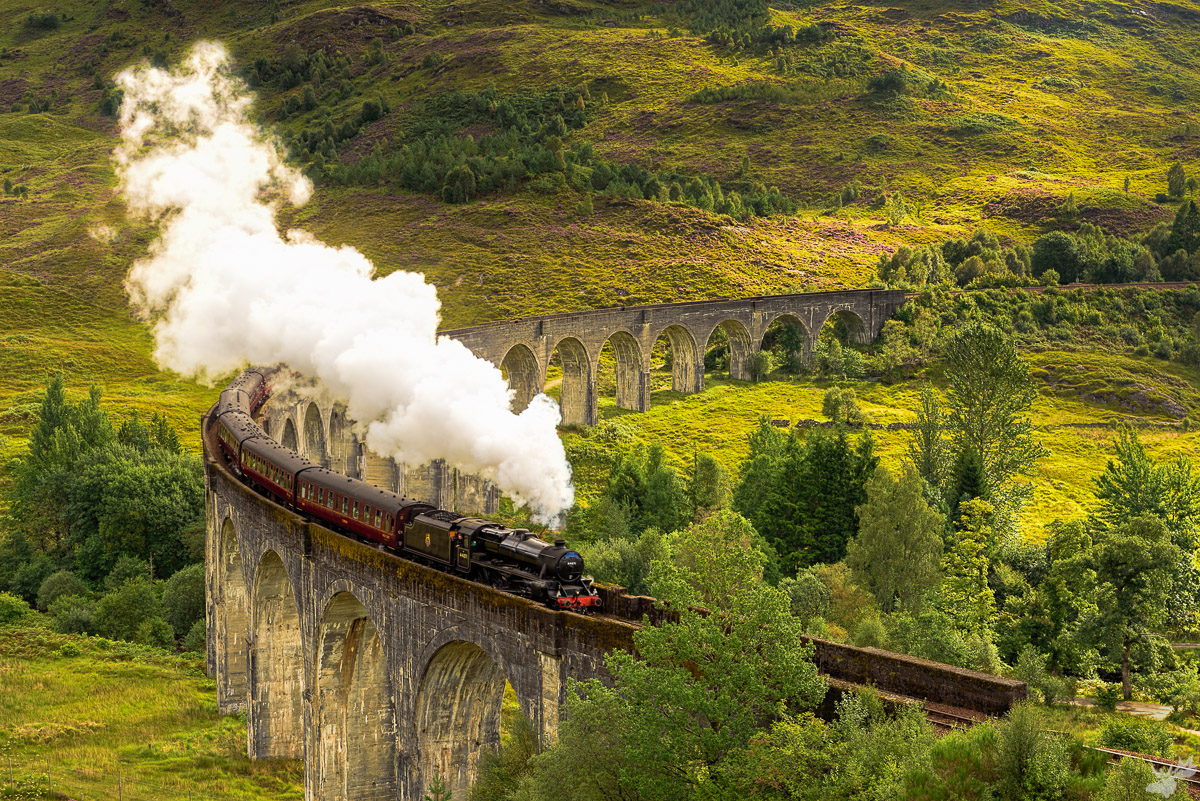 Harry Potter, train